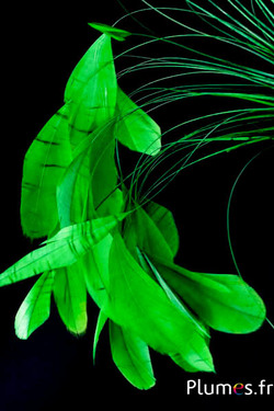 Coquetips - 13-18 cm - vert 